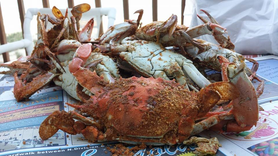 Parasite strikes young crabs with deadly results
