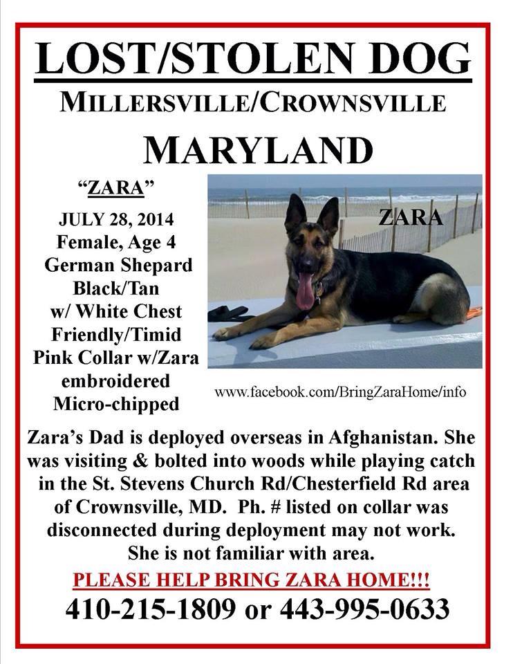 Md. community searches for Army vet’s missing dog ahead of his return