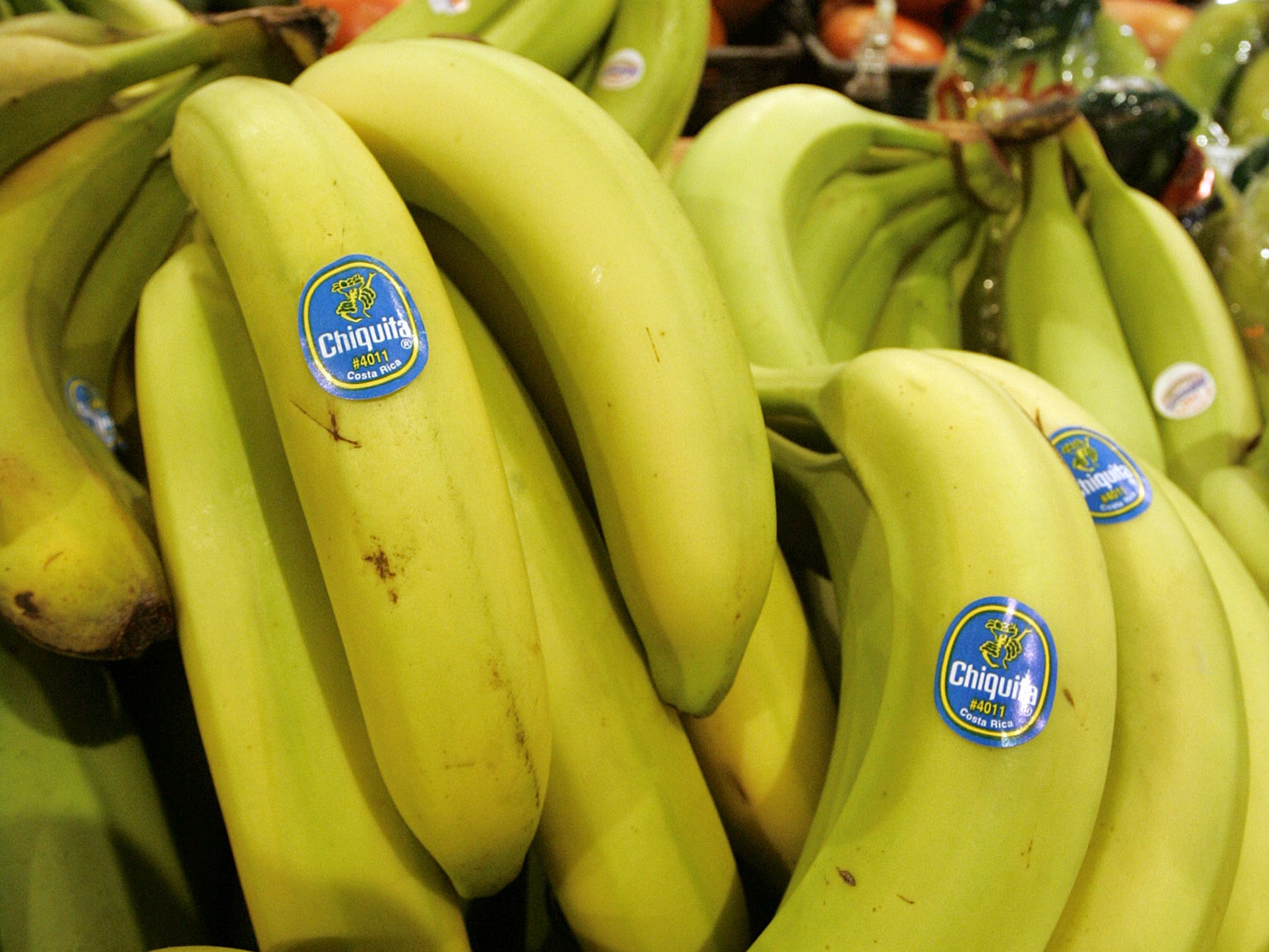 Bananas: An uncertain future for America’s favorite fruit