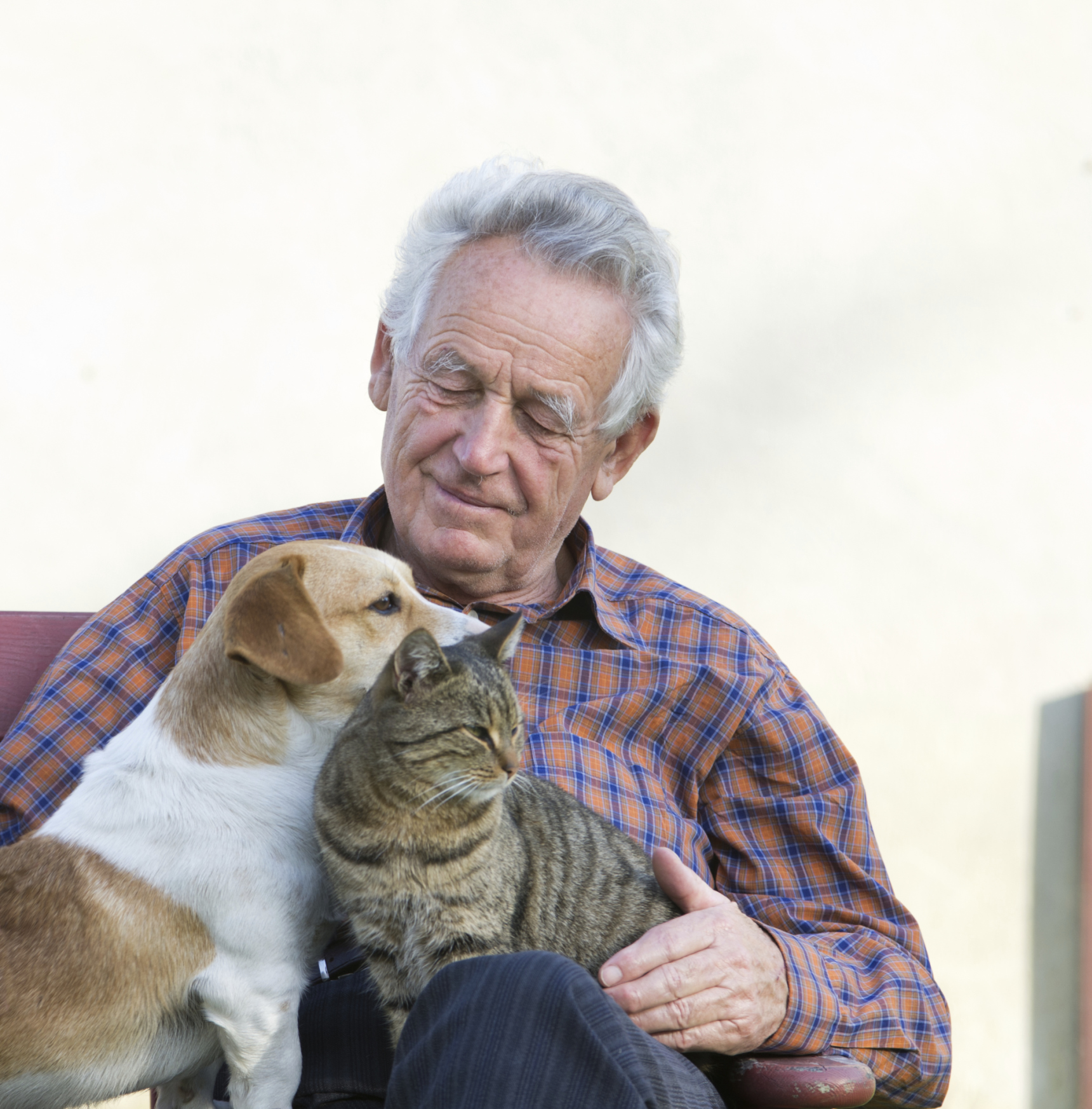 The perks of pet ownership for retirees