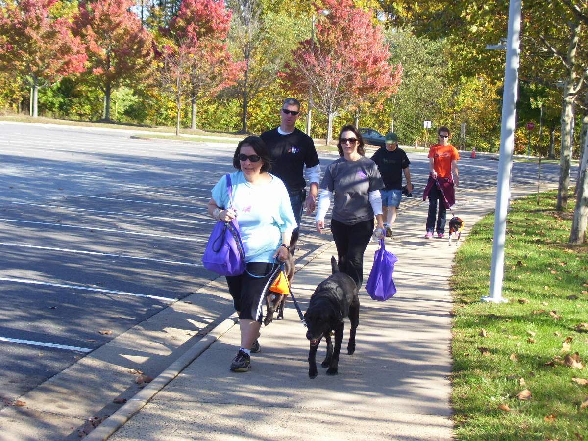 Walk highlights link between domestic abuse and animal cruelty