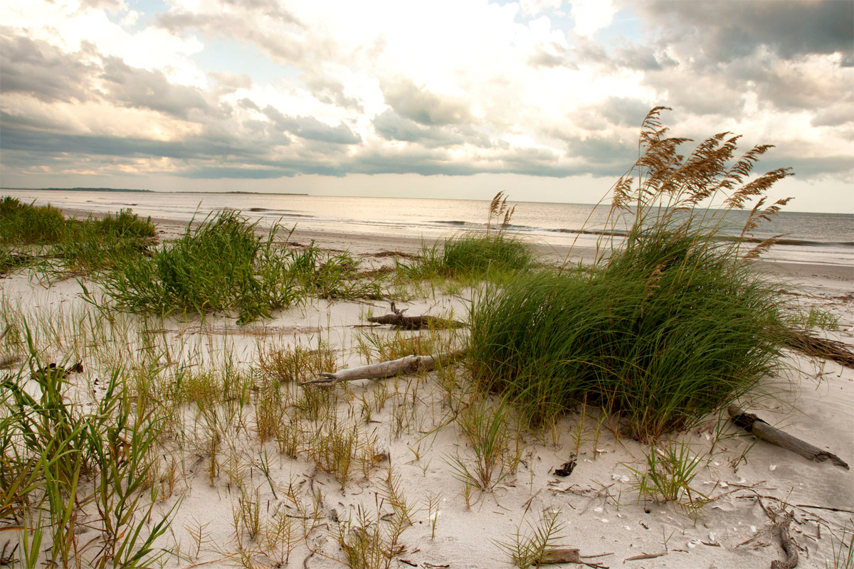Ted Turner’s private S.C. island
