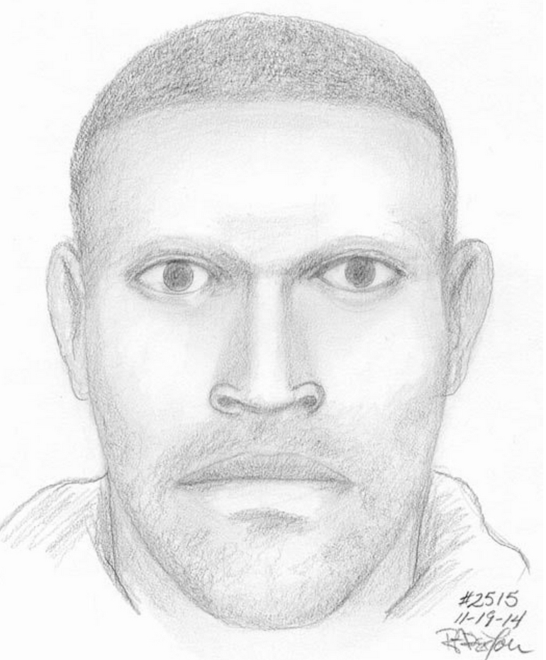 Man sought in Metrorail carjacking and kidnapping