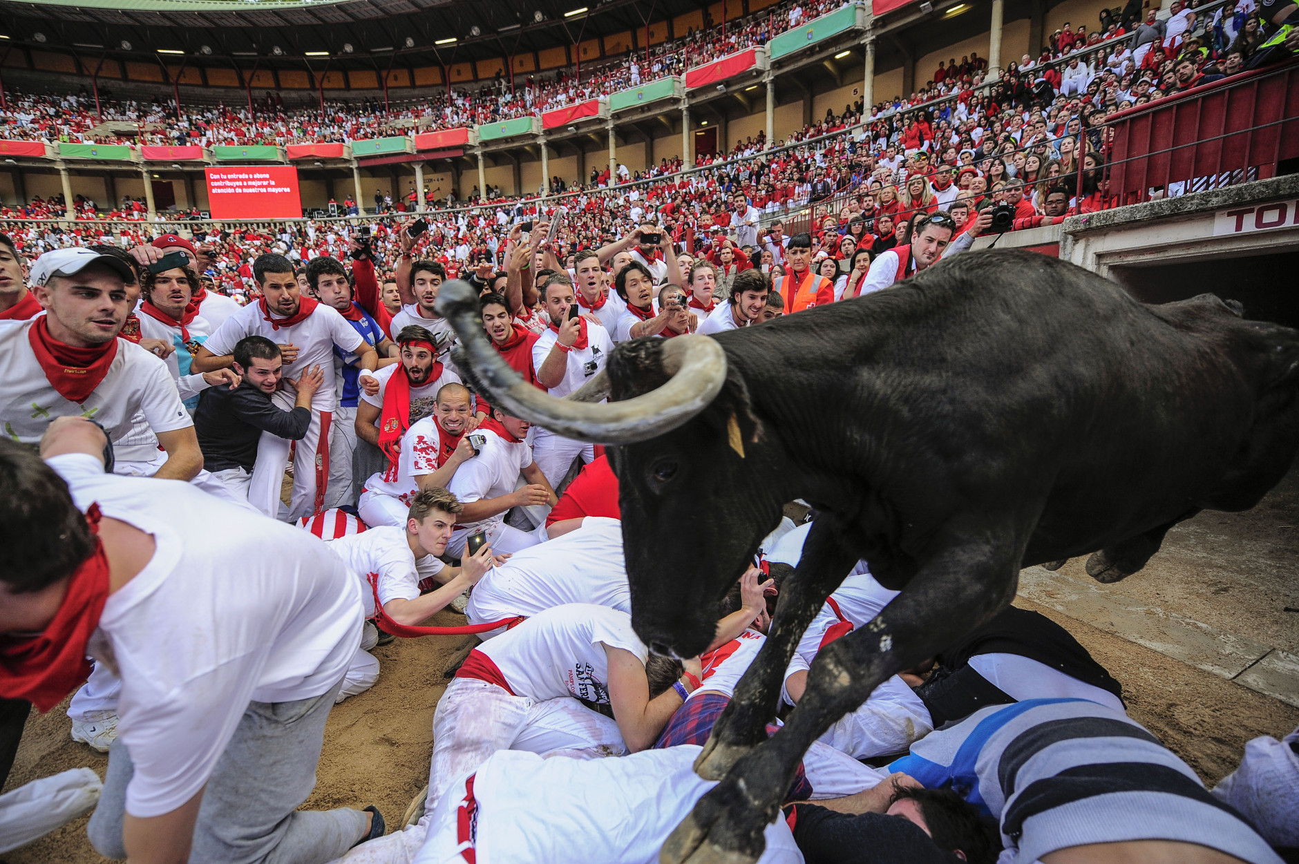 FOR USE AS DESIRED, YEAR END PHOTOS - FILE - A cow jumps over revelers on the bull ring at the San Fermin festival, in Pamplona, Spain, Tuesday, July 8, 2014. Revelers from around the world in Pamplona take part in an eight-day event of the running of the bulls glorified by Ernest Hemingway's 1926 novel "The Sun Also Rises." (AP Photo/Alvaro Barrientos, File)