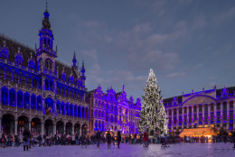 A giant Christmas tree and a light show decorate the Grand Place in Brussels, Wednesday, Dec. 12, 2014. The Christmas tree is a gift of Riga, capital city of Latvia and European cultural capital 2014. This exceptional Christmas tree measures 22 meters (72 feet), one of the highest to have adorned the Grand Place, and is one of the many attractions the Brussels' Christmas market has to offer. (AP Photo/Geert Vanden Wijngaert)