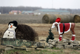 The entrance to Flying R Farms is decorated for the season near Rossville, Kan., Thursday, Dec. 4, 2014. (AP Photo/Orlin Wagner)