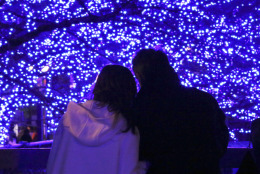 A couple stands along the Meguro River to watch Christmas decorations done with LED lights in Tokyo, Friday, Dec. 12, 2014. An annual Christmas decoration drew thousands of visitors in the suburb of the capitol. (AP Photo/Koji Sasahara)