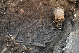 FILE- This is an undated file photo released by the University of Leicester, England, showing the remains human skeleton found underneath a car park in Leicester, England, September 2012, which has been declared "beyond reasonable doubt" to be the long lost remains of England's King Richard III, missing for 500 years. According to research published Tuesday Dec. 2, 2014, in the Nature Communications journal, scientists compared the skeleton's DNA to samples from living relatives but found no matches, a discovery that could throw the nobility of some royal descendants into question, including Henry V, Henry VI and the entire Tudor royal dynasty. But Kevin Schurer, pro vice-chancellor of the University of Leicester, said England's current royal family does not claim Richard III as a relative and shouldn't be worried about the legitimacy of their royal line. (AP Photo/University of Leicester, FILE)
