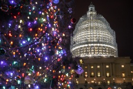 The Capitol Dome and the Capitol Christmas Tree are illuminated late Thursday evening as Congress works to pass a $1.1 trillion U.S. government-wide spending bill and avoid a government shutdown, in Washington, Thursday, Dec. 11, 2014. The Obama White House and House Republicans joined forces Thursday to pass the funding bill over clamorous protests from Democrats objecting that it would roll back bank regulations imposed in the wake of the economic near-meltdown of 2008. (AP Photo/J. Scott Applewhite)