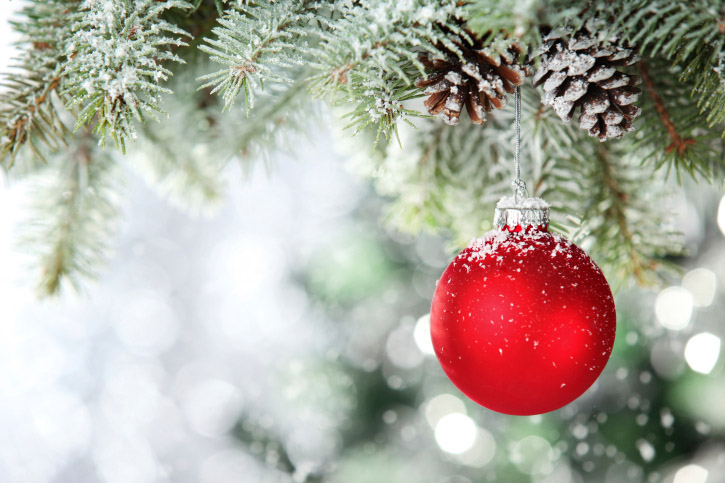 Tips for recycling your Christmas tree
