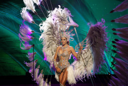 Miss Argentina, Valentina Ferrer,  poses for the judges, during the national costume show during the 63rd annual Miss Universe Competition in Miami, Fla., Wednesday, Jan. 21, 2015. (AP Photo/J Pat Carter)