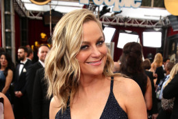 Amy Poehler seen at the Red Carpet Arrivals For The 21st Annual SAG Awards held at the Shrine Auditorium on Sunday, Jan. 25, 2015, in Los Angeles. (Photo by Eric Charbonneau/Invision for People Magazine]/AP Images)