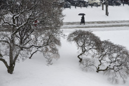 People make their way to work on Capitol Hill in Washington during the first snowfall of the year and the opening day for the 114th Congress, Tuesday, Jan. 6, 2015. Snow and cold air are causing school closures and delays as well as bringing traffic to a crawl around the region.   (AP Photo/J. Scott Applewhite)