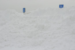 Handicap parking signs are buried in a snow mound, Tuesday, Jan. 27, 2015 in a Central Islip, N.Y shopping center parking lot.  A storm packing blizzard conditions spun up the East Coast early Tuesday, pounding coastal eastern Long Island into Maine with high winds and heavy snow. (AP Photo/Mary Altaffer)