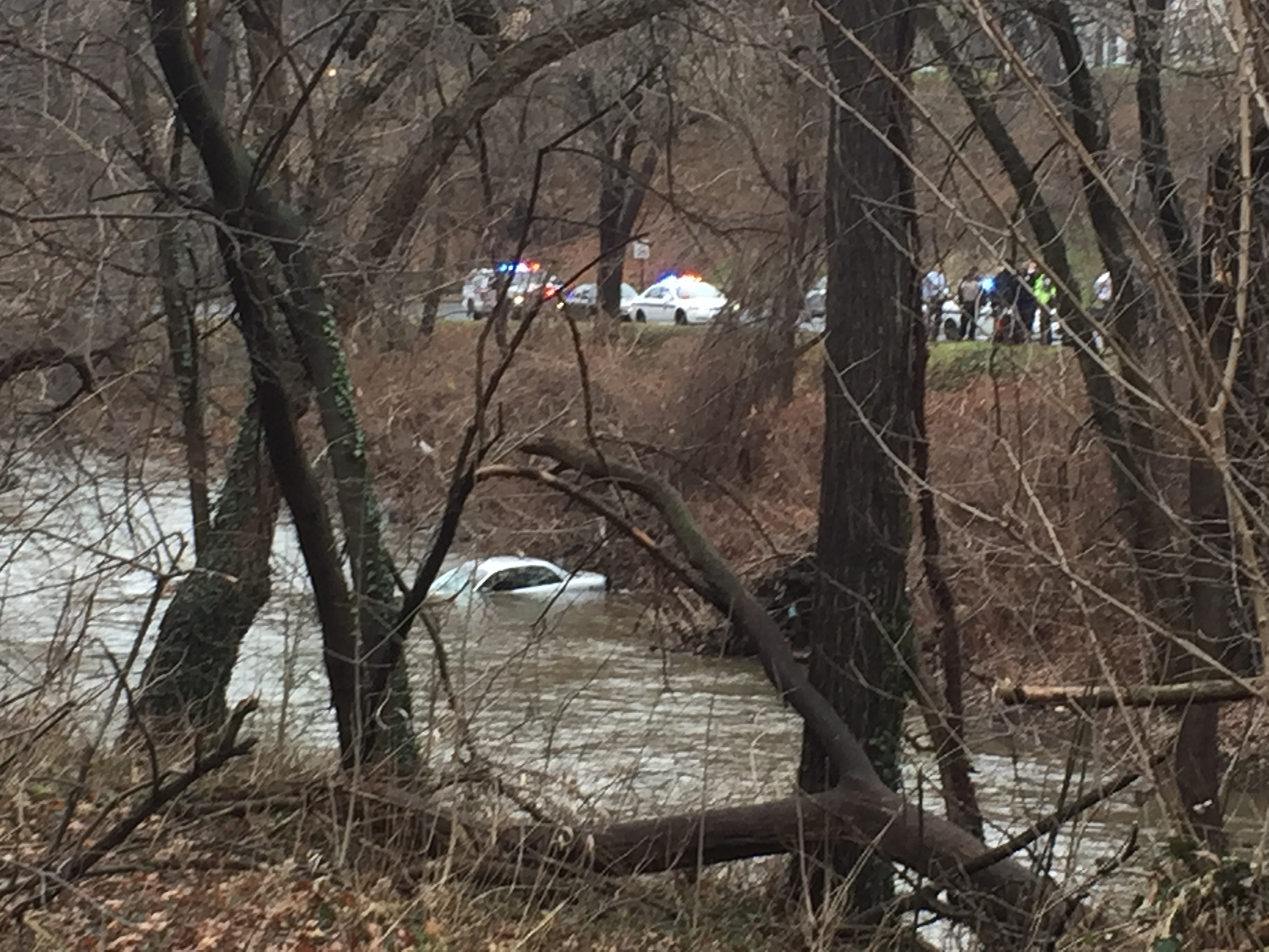 Motorist plunges into water in Rock Creek Park