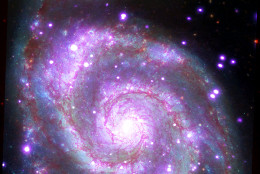 This galaxy, nicknamed the "Whirlpool," is a spiral galaxy, like our Milky Way, located about 30 million light years from Earth. This composite image combines data collected at X-ray wavelengths by Chandra (purple), ultraviolet by the Galaxy Evolution Explorer (GALEX, blue); visible light by Hubble (green), and infrared by Spitzer (red). 
(Images and captions courtesy-  X-ray: NASA/CXC/SAO; UV: NASA/JPL-Caltech; Optical: NASA/STScI; IR: NASA/JPL-Caltech)