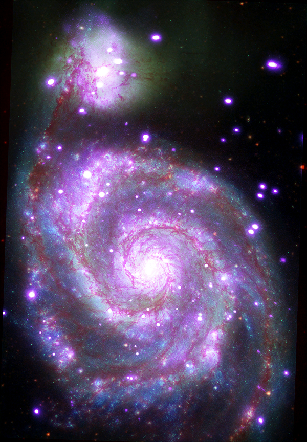 This galaxy, nicknamed the "Whirlpool," is a spiral galaxy, like our Milky Way, located about 30 million light years from Earth. This composite image combines data collected at X-ray wavelengths by Chandra (purple), ultraviolet by the Galaxy Evolution Explorer (GALEX, blue); visible light by Hubble (green), and infrared by Spitzer (red). 
(Images and captions courtesy-  X-ray: NASA/CXC/SAO; UV: NASA/JPL-Caltech; Optical: NASA/STScI; IR: NASA/JPL-Caltech)