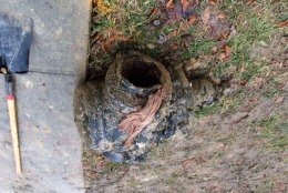 This valve broke in two places and was the cause of the water main break on northbound Route 29. (WTOP/Rob Stallworth)