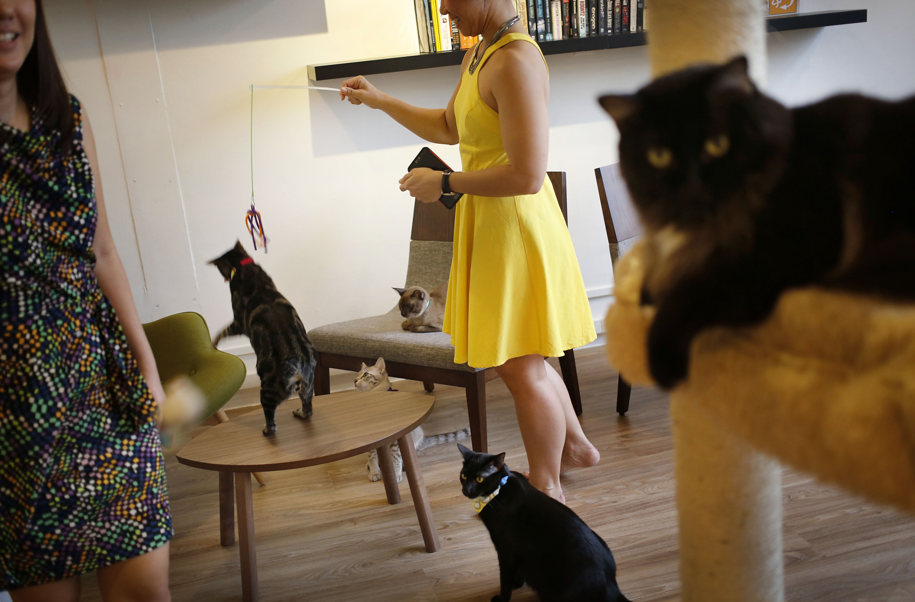 Customers play with cats at the Cat Cafe, the first of its kind in Singapore on Monday, Dec. 23, 2013. This cafe is home to thirteen cats which have been rescued from the streets, and customers who visit can enjoy a cup of coffee while they mingle with the feline inhabitants.  This is an effort by the cafe owners who are both cat lovers, to educate and inform the public about cats. (AP Photo/Wong Maye-E)