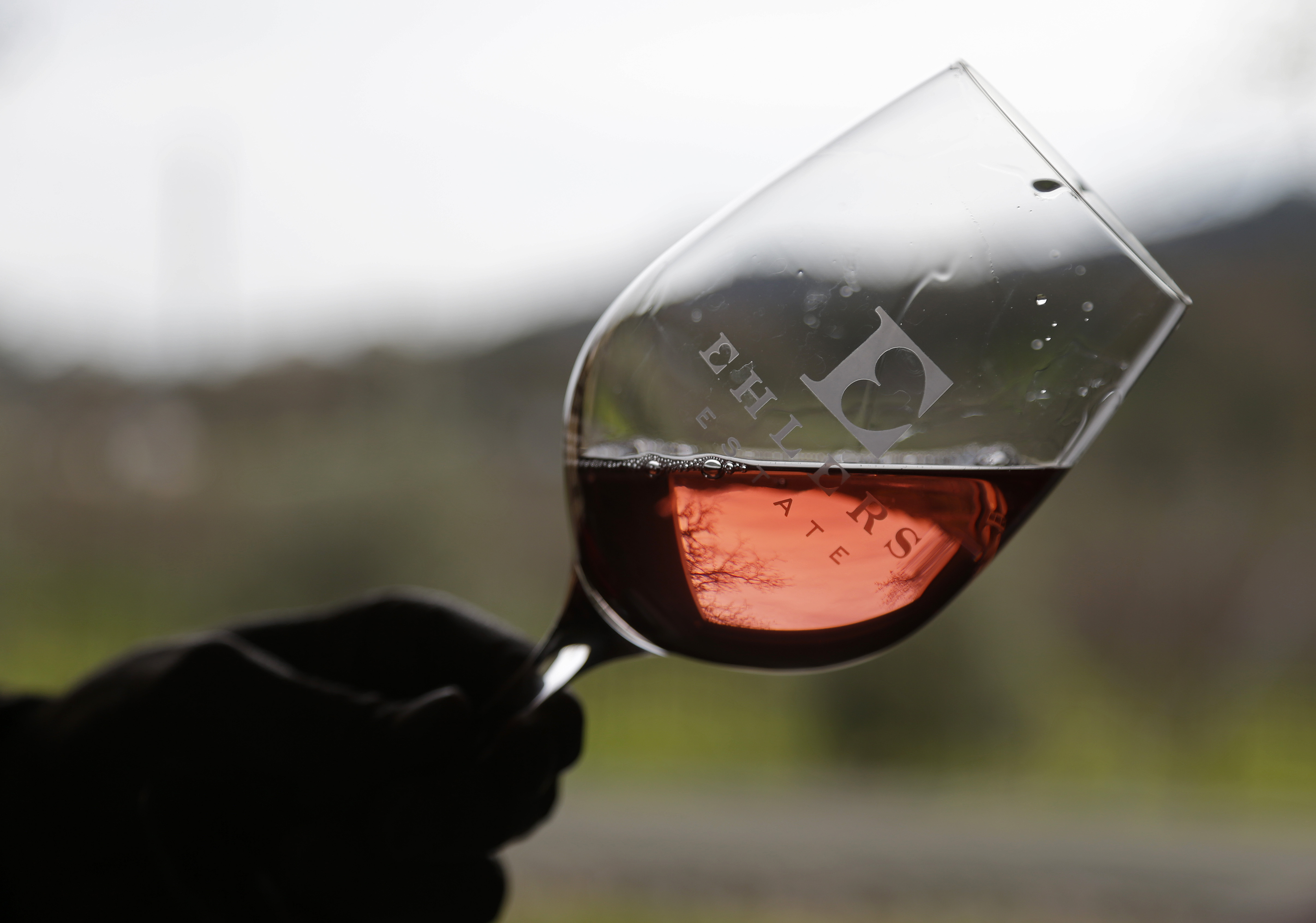 Wine of the Week: Rosé wines for summer sippin’