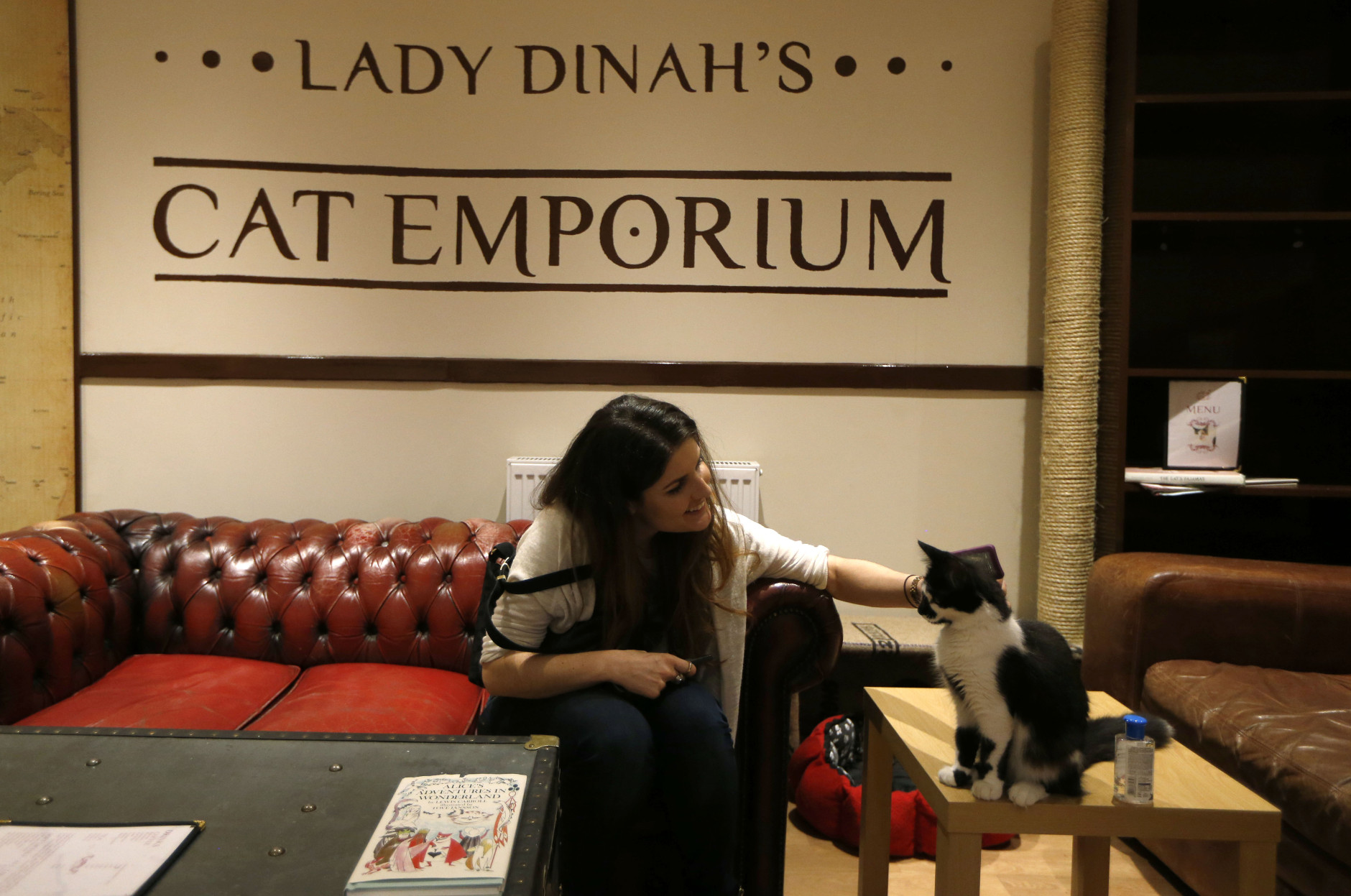A visitor strokes a cat in the newly opened Lady Dinah's Cat Emporium in London, Friday, April 4, 2014.Feline company is exactly what one of Londons newest cafes is offering _ and stressed-out city-dwellers are lapping it up.  People do want to have pets and in tiny flats, you cant, said cafe owner Lauren Pears, who opened Lady Dinahs Cat Emporium last month in an area east of the citys financial district.  (AP Photo/Sang Tan)
