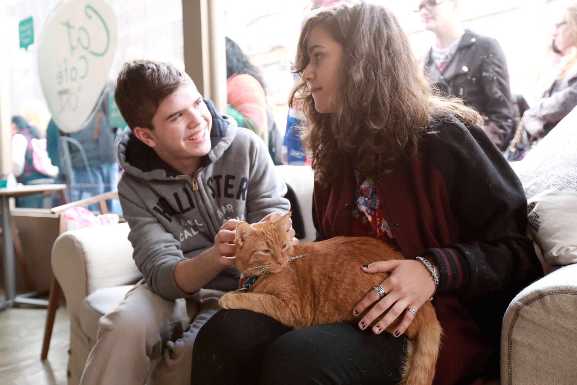 People hang out with cats from North Shore Animal League during the adoption drive held at the Cat Café by Purina ONE on Sunday, April 27, 2014 in New York. (Photo by Amy Sussman/Invision for Purina ONE/AP Images)