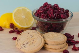 Cranberry Crisps Girl Scout Cookies