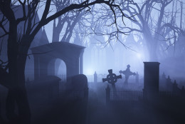 Misty Overgrown Cemetery