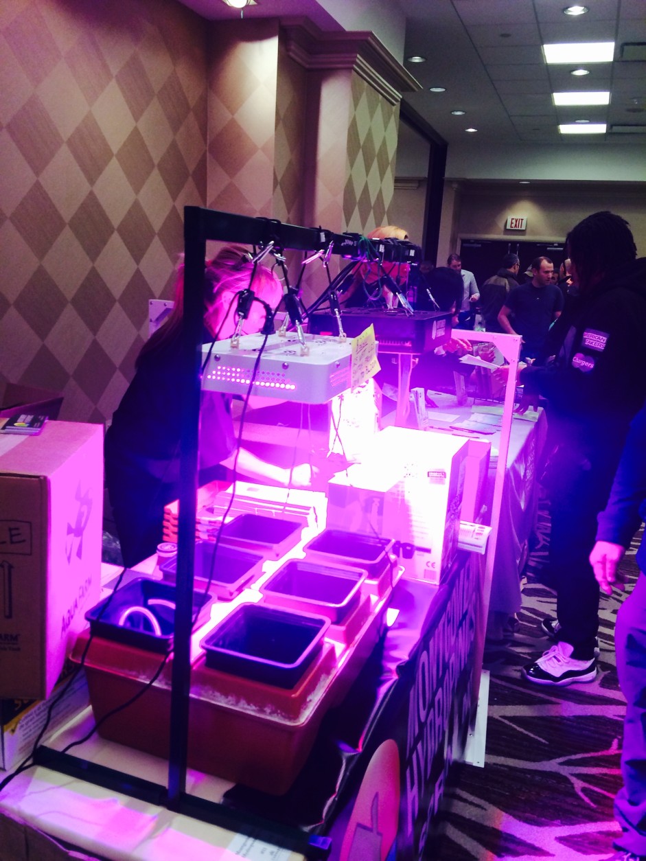 Some of the LED grow lights on display at the conference sold for $349 a piece. (WTOP/Dick Uliano)