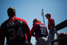 Nationals pitchers and catchers report to Spring Training in just 15 days. (AP Photo/David Goldman)