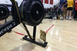 This year's crop of modern ergs, which are all tied electronically to a central timing station. (WTOP/Noah Frank)