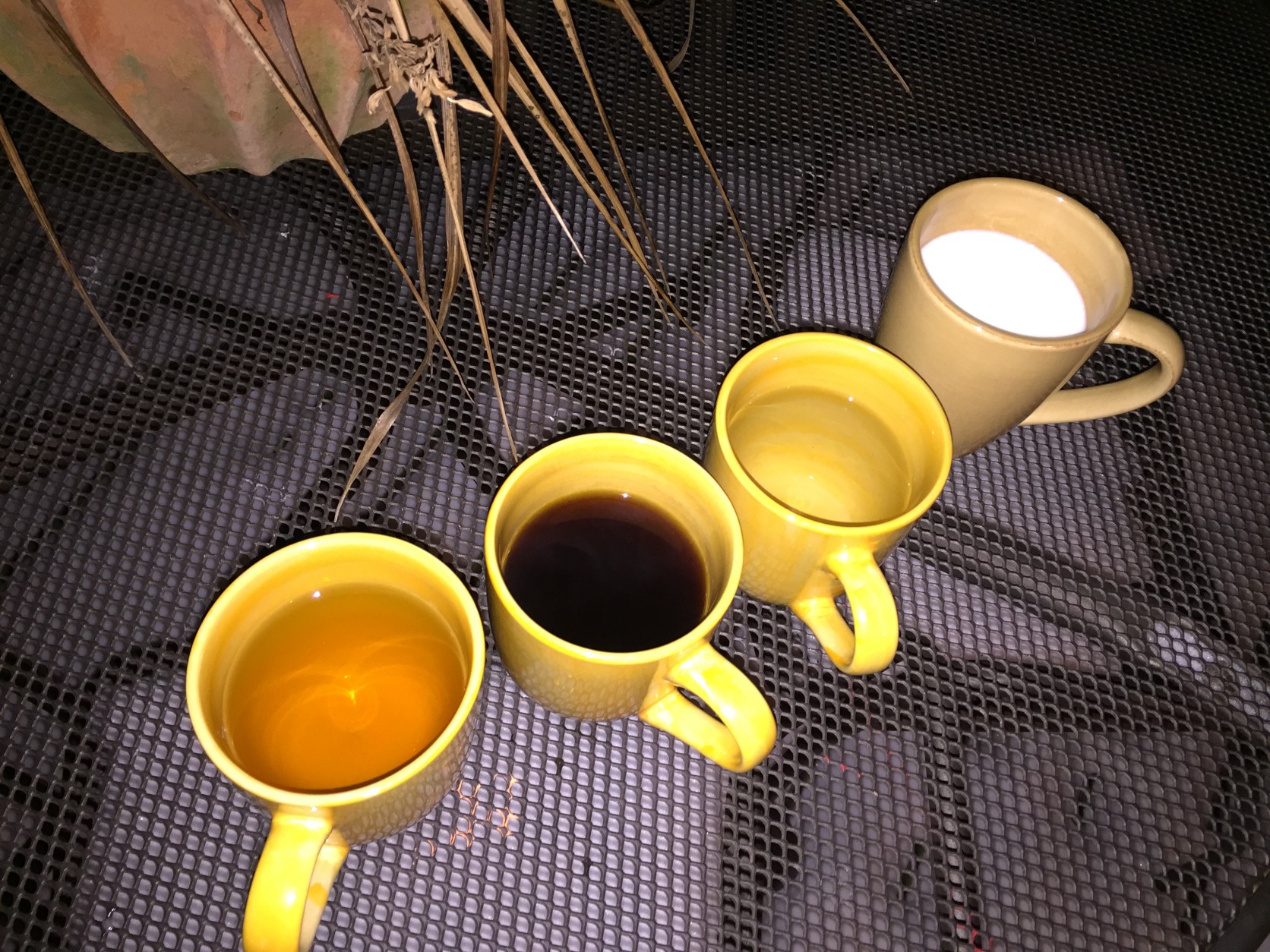 After 10 minutes, the steaming hot cup of black coffee was just warm coffee. (WTOP/Neal Augenstein)