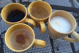 Two hours and 30 minutes after being left in 10 degree temperatures, all four drinks have some ice, but none is frozen solid. (WTOP/Neal Augenstein)