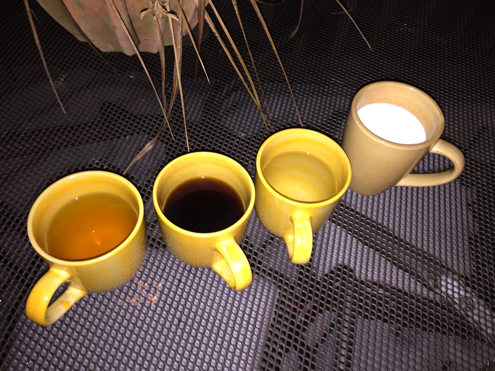 After 30 minutes in 10 degree temperatures, the   hot coffee is cool, and the cold milk is even colder. (WTOP/Neal Augenstein)