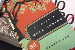 Politics and Prose bookstore sells copies of the classic novel "To Kill a Mockingbird." Local literature fans are excited to read the sequel to the famous book. (WTOP/Megan Cloherty)