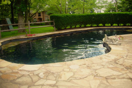 The house has an inground saltwater pool. (Genelle Brown/TopTenRealEstate)