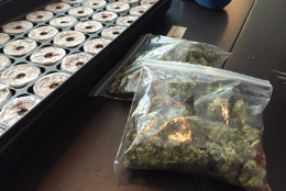 Residents of D.C. wasted no time Thursday enjoying marijuana. Initiative 71 took effect Feb. 26, 2015 allowing adult to possess and consume small amounts of marijuana. These bags of marijuana, 1 ounce each, represent the legal maximum in the District. At left lies a tray holding that will grow into plants.  (WTOP/Andrew Mollenbeck)