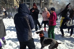 Some snowball fighters brought their dogs to enjoy the snow day activity. (WTOP/Megan Cloherty)