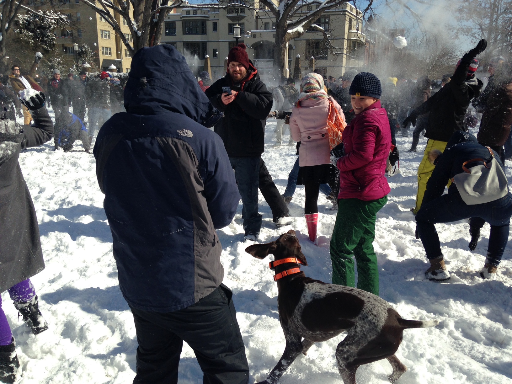 Some snowball fighters brought their dogs to enjoy the snow day activity. (WTOP/Megan Cloherty)