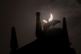Two storks sit on their nest on top a chapel as the moon blocks part of the sun during a solar eclipse seen in Ciudad Rodrigo in Salamaca, Spain, Friday, March 20, 2015.  An eclipse is darkening parts of Europe on Friday in a rare solar event that won't be repeated for more than a decade. (AP Photo/Jose Vicente)