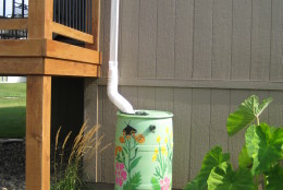 In this Sept. 13, 2009 image released by Alice Snider, a decorated rain barrel, Butterfly Garden,  is connected to a downspout in a backyard, where it will capture rainwater for watering garden beds. Rain barrel usage is on the rise around the country, according to gardening and conservation experts.  (AP Photo/Alice Snider)