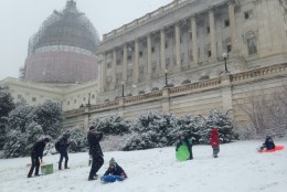 Kids take part in the "sled-in" at Capitol Hill. 