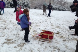 Sled-in held at Capitol Hill grounds March 5, 2015. 