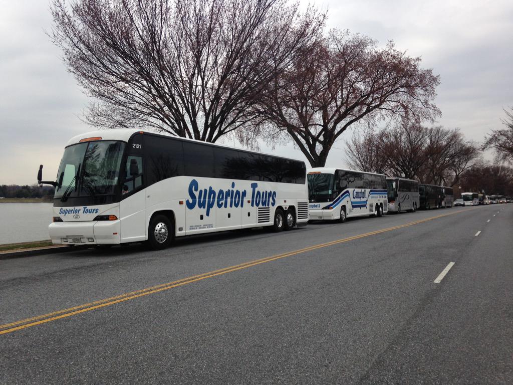 AAA Mid-Atlantic and the American Bus Association are calling for a long term fix to D.C.'s cherry blossom parking problem. (WTOP/Michelle Basch)