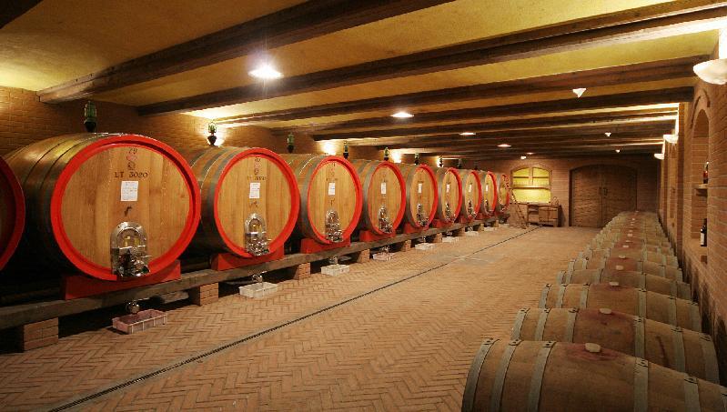 The fresh wines of Luca Bosio