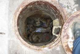 At 2600 Pennsylvania Avenue NW, so called flushable wipes have caused a clog. (Courtesy DC Water)