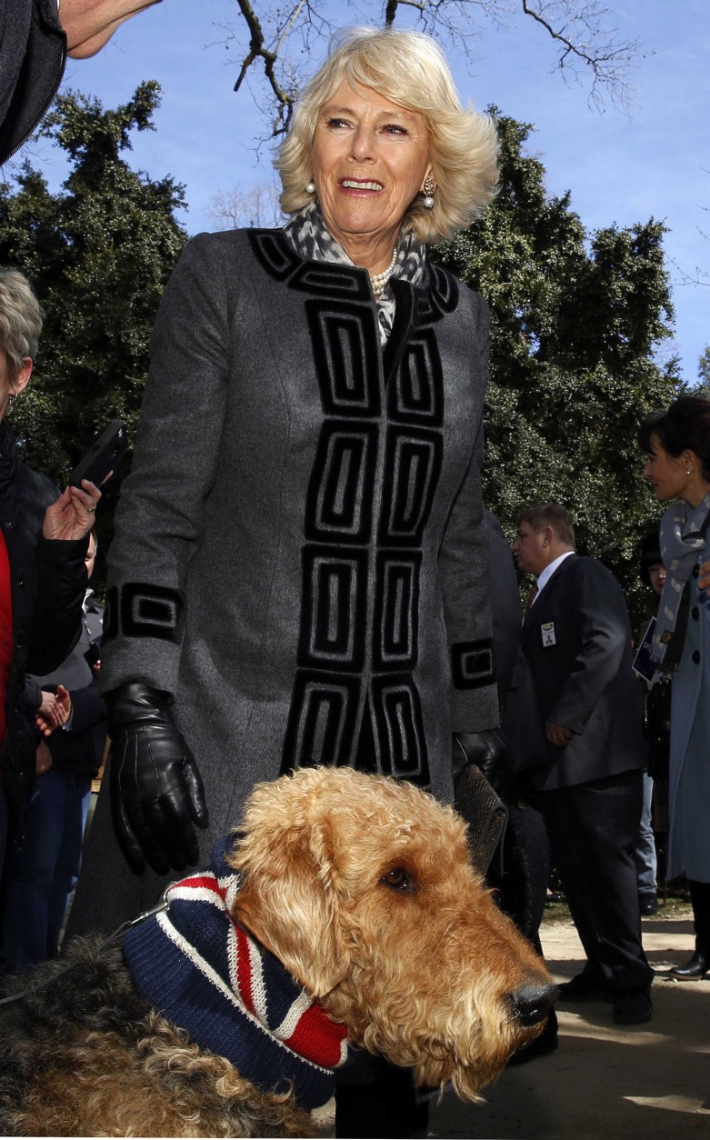 Britain's Camilla, the Duchess of Cornwall, greets Gunner, an Airedale Terrier, during her visit to Mount Vernon, Va., the home of U.S. first President George Washington, Thursday, March 18, 2015. (AP Photo/Gary Cameron, Pool)
