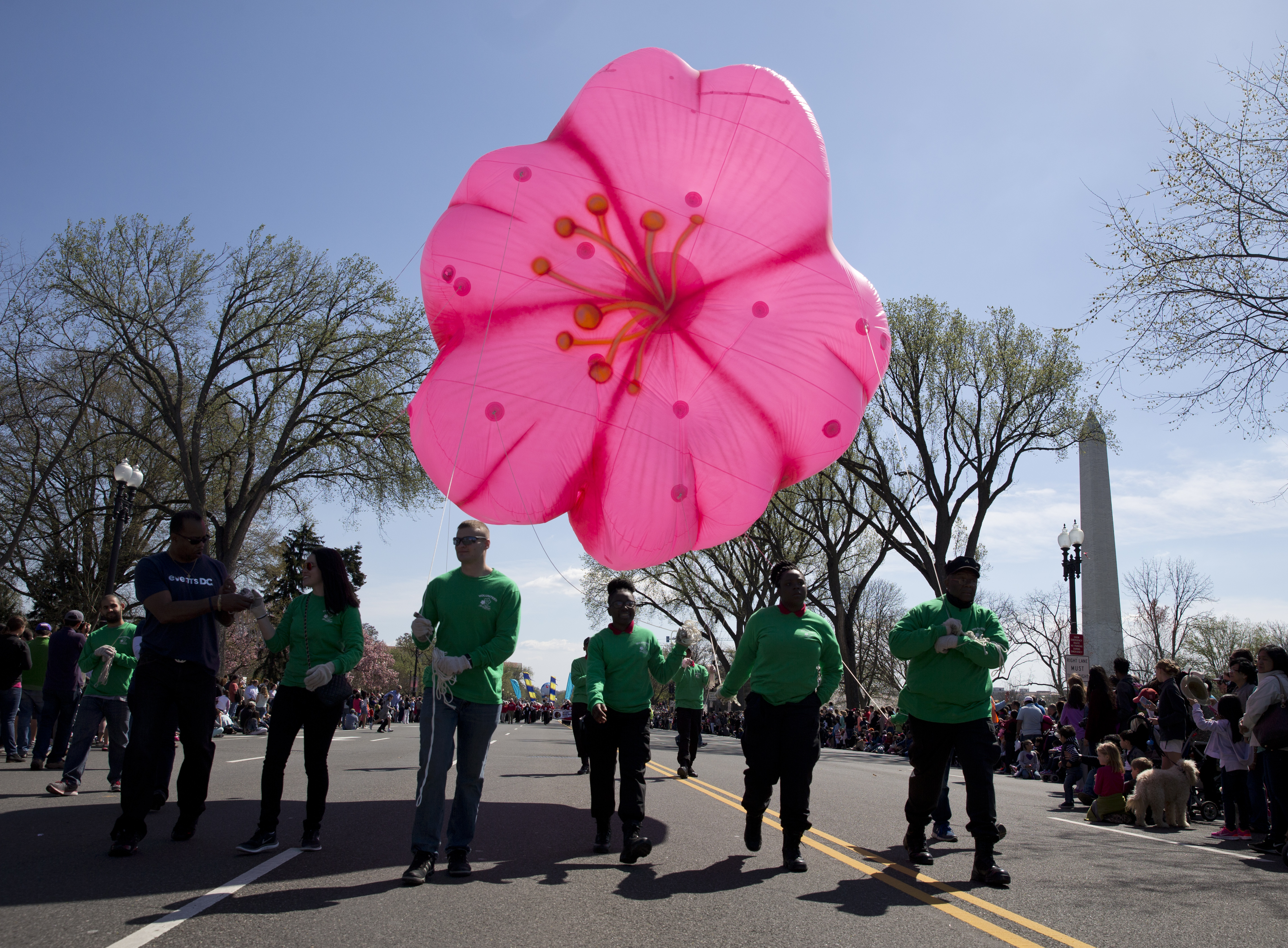 Fun events at 2020 National Cherry Blossom Festival canceled