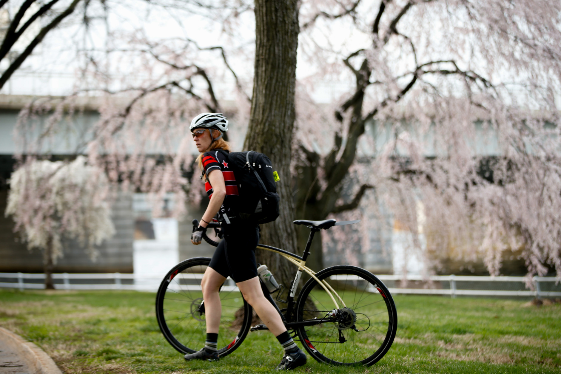 Cindy Janetzko of Falls Church, Va., walks her bicycle through cherry blossoms trees in Washington, Tuesday, April 7, 2015. (AP Photo/Andrew Harnik)