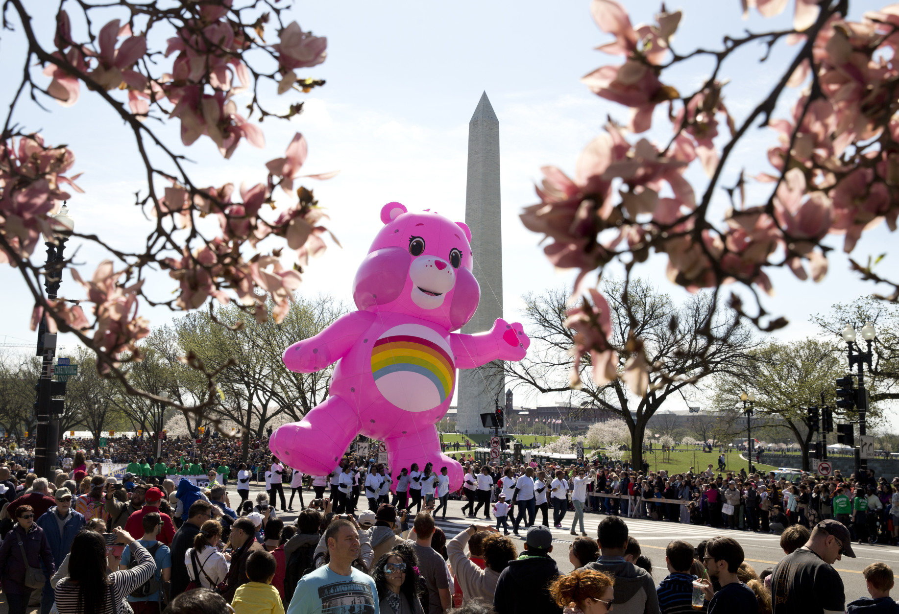 A huge Care Bear balloon moves down Constitution Avenue, as the Washington Monument is seen in the background, during the Parade of the National Cherry Blossom Festival, Saturday, April 11, 2015, in Washington. (AP Photo/Carolyn Kaster)